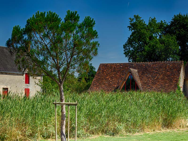 Domaine de Tranchemule_36800 MIGNE_3